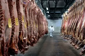 Retenciones a la carne: los matarifes esperan las definiciones de Milei
