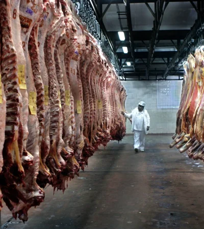 "La industria debería ser mixta. Hay cortes que en Argentina tienen mucha salida, y otros cortes que no, pero afuera tienen mucho valor" (L. Rafael)