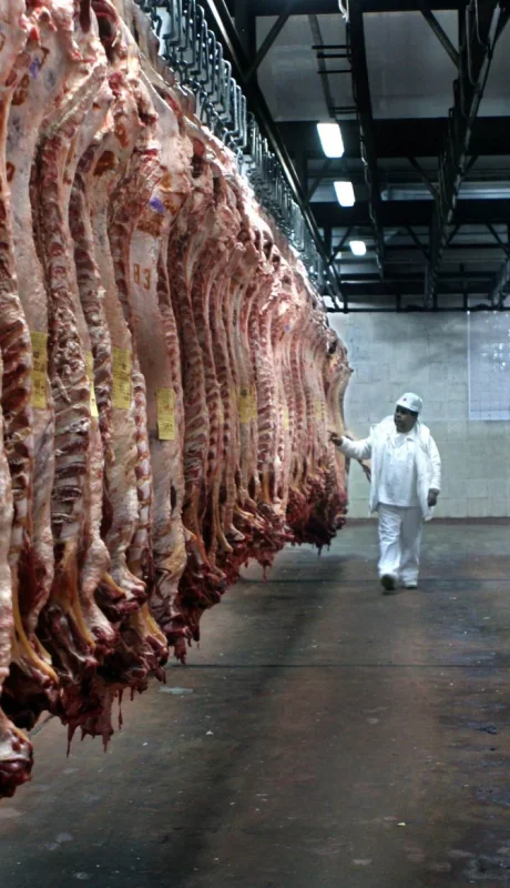 "La industria debería ser mixta. Hay cortes que en Argentina tienen mucha salida, y otros cortes que no, pero afuera tienen mucho valor" (L. Rafael)