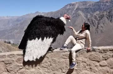 El artista peruano que engañó a motoqueros y se volvió viral en las redes