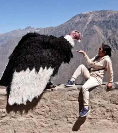 El artista peruano que engañó a motoqueros y se volvió viral en las redes