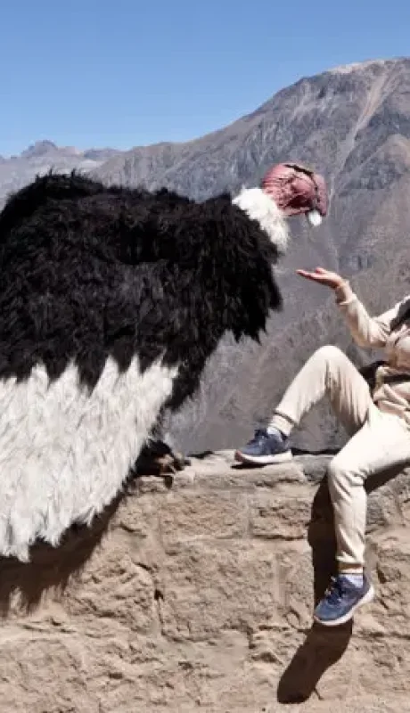 El artista peruano que engañó a motoqueros y se volvió viral en las redes