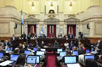 VIVO / El Senado ya debate los fondos para universidades y la emergencia pediátrica