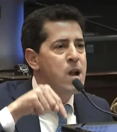 El senador Wado De Pedro