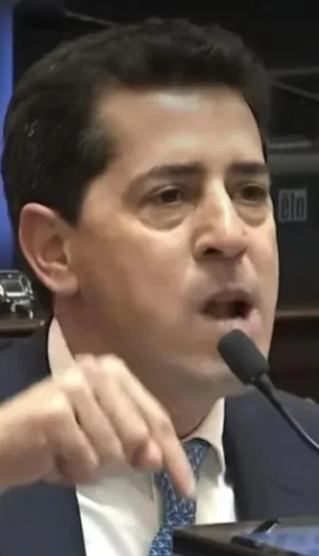 El senador Wado De Pedro