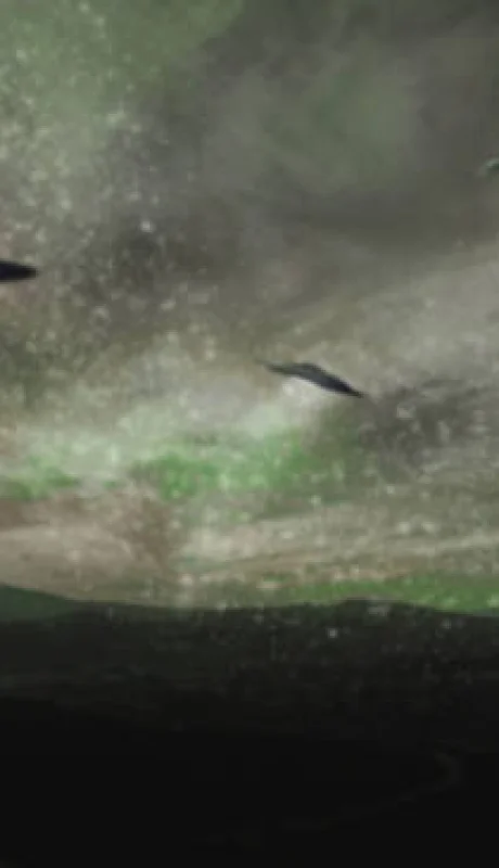 ¿Invasión alien a la Tierra?