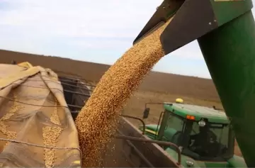 Retenciones: qué cambia para el campo con la baja anunciada por el Gobierno