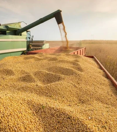 El portavoz Manuel Adorni comunicó la decisión de retenciones cero a través de sus redes sociales, minutos antes de la apertura del mercado.