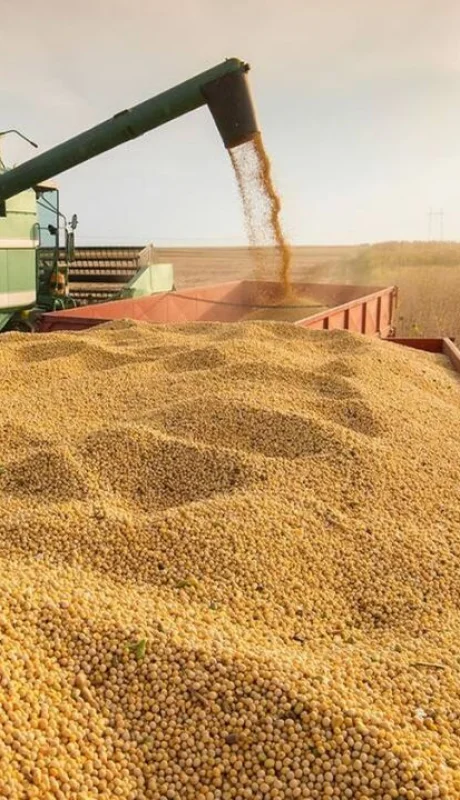 El portavoz Manuel Adorni comunicó la decisión de retenciones cero a través de sus redes sociales, minutos antes de la apertura del mercado.