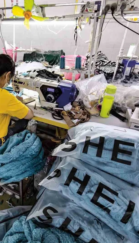 Shein se impone cada vez más en Argentina/ Fuente: web