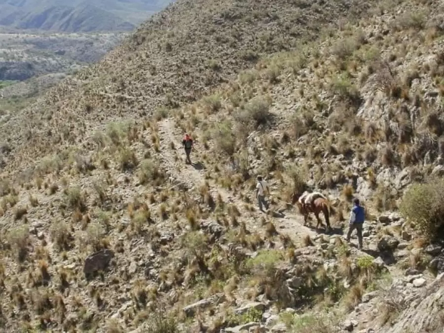 La búsqueda se realiza en una zona de difícil acceso y temperaturas muy bajas. (Foto: web)