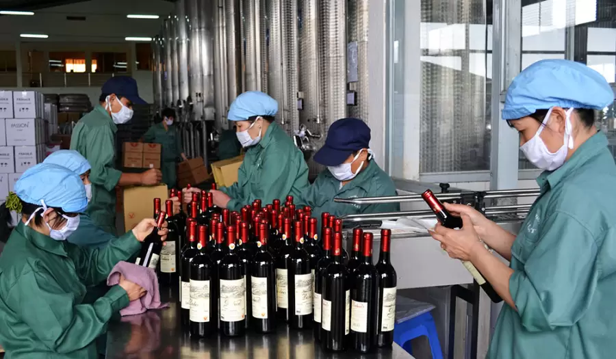 "¿Quién garantiza que una botella de vino diga la verdad en su etiqueta? ¿Quién protege al consumidor del engaño?" (M. Vadillo)