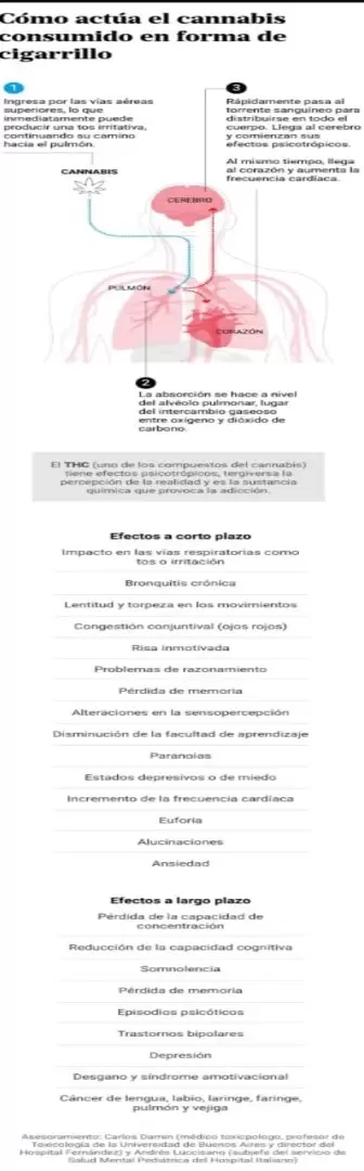 Efectos de la marihuana en el cuerpo.