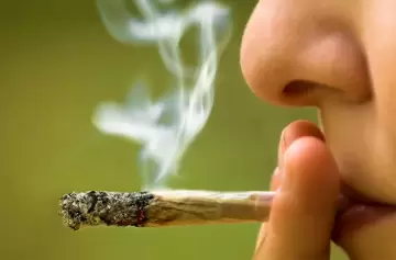 Marihuana en adolescentes: entre mitos, risas y psicosis