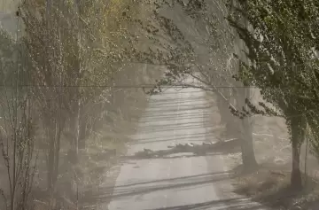 El viento Zonda sacude otra vez y obliga a tomar una decisión urgente