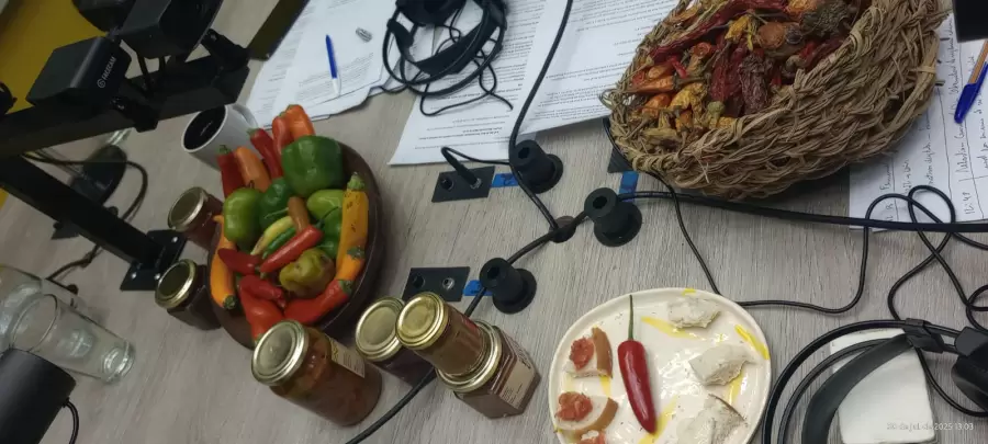 La mesa del estudio, con aroma precolombino.