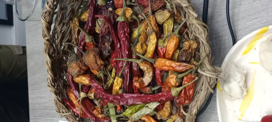 Sabores para valientes.