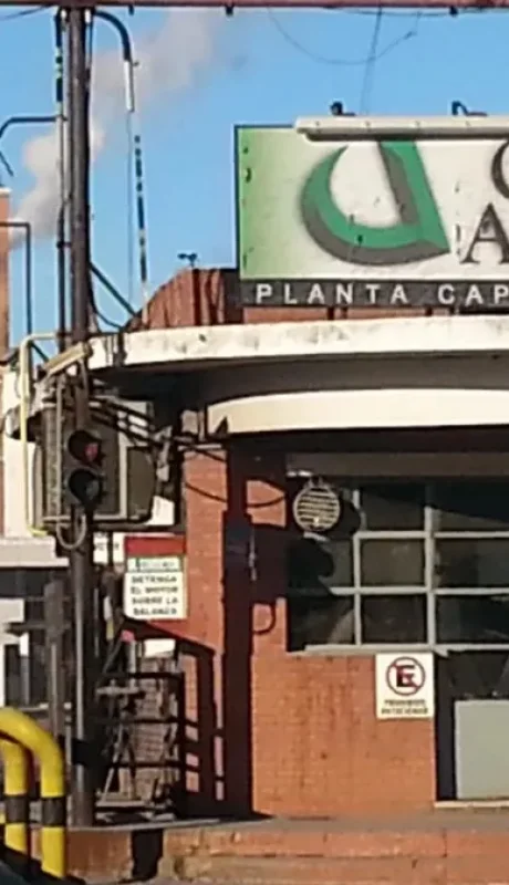 Celulosa Argentina S.A. está en problemas.