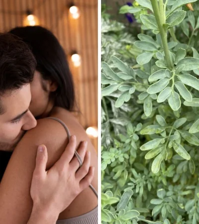 Cómo se usan la ruda y la energía sexual en rituales del 1 de agosto.