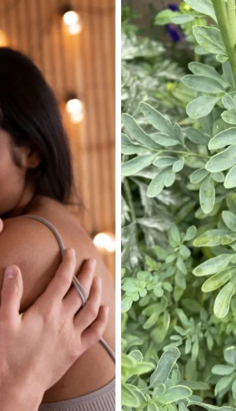 Cómo se usan la ruda y la energía sexual en rituales del 1 de agosto.