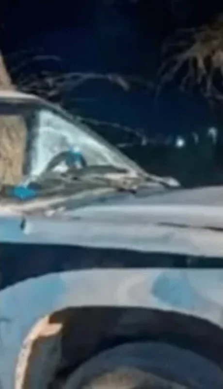 Un niño mendocino murió tras caer de una camioneta en movimiento.