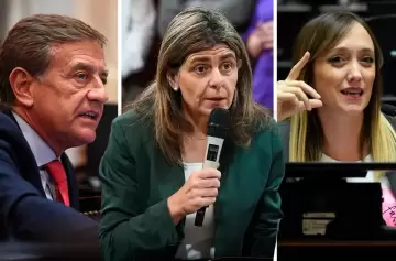 La imagen de los senadores nacionales: cómo le fue a los mendocinos