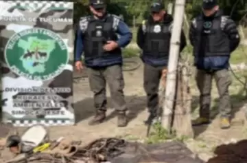 Allanan la casa de un cuatrero armado tras robar caballos y disparar al dueño