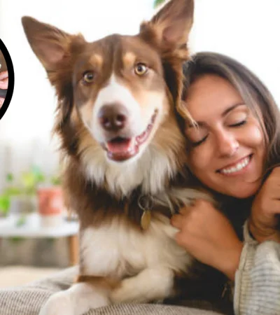 La forma más sencilla de quitar los pelos de perro de la ropa.