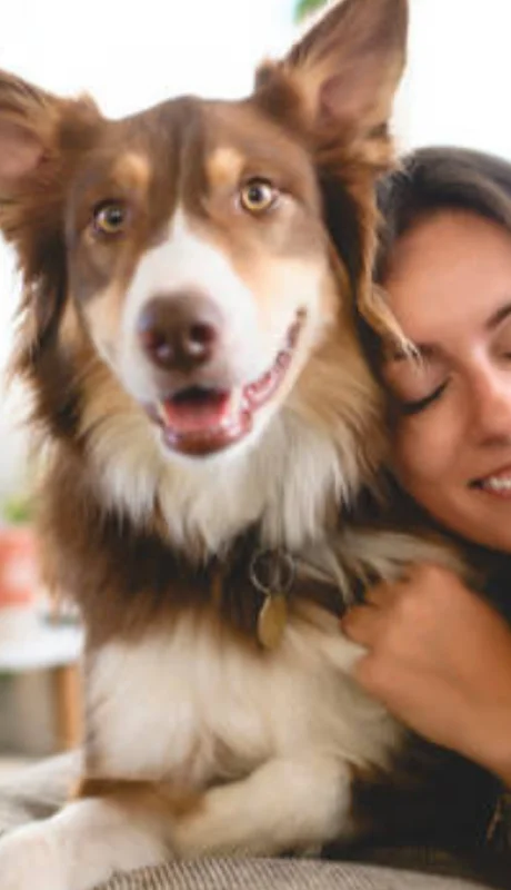 La forma más sencilla de quitar los pelos de perro de la ropa.