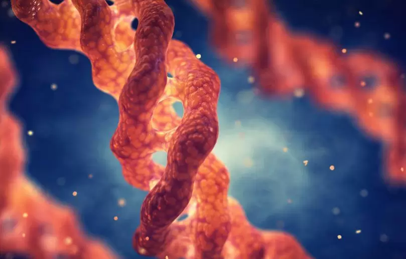 El cuerpo tiene muchas células, partes y sistemas, y muchos de ellos están unidos por el colágeno.