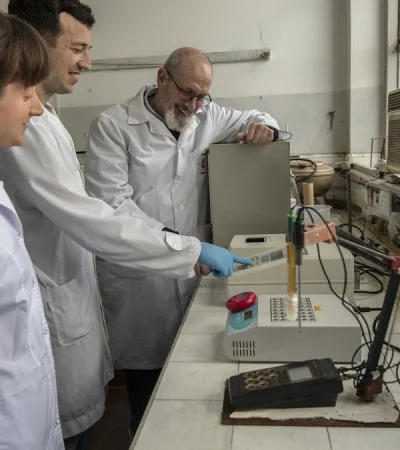 Actividad de investigación