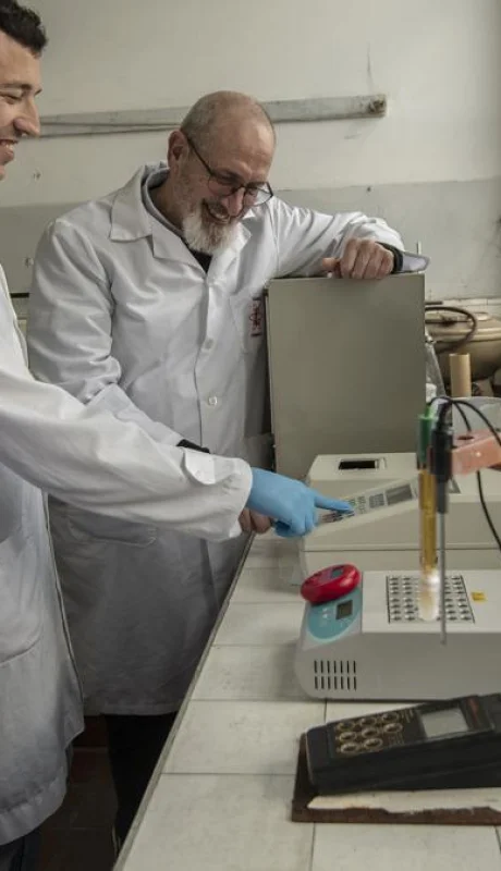 Actividad de investigación