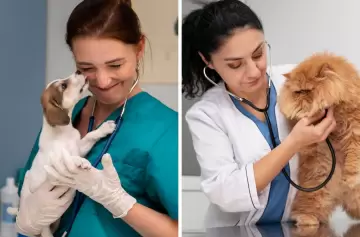 ¿Por qué el 6 de agosto es el Día del Veterinario en Argentina?