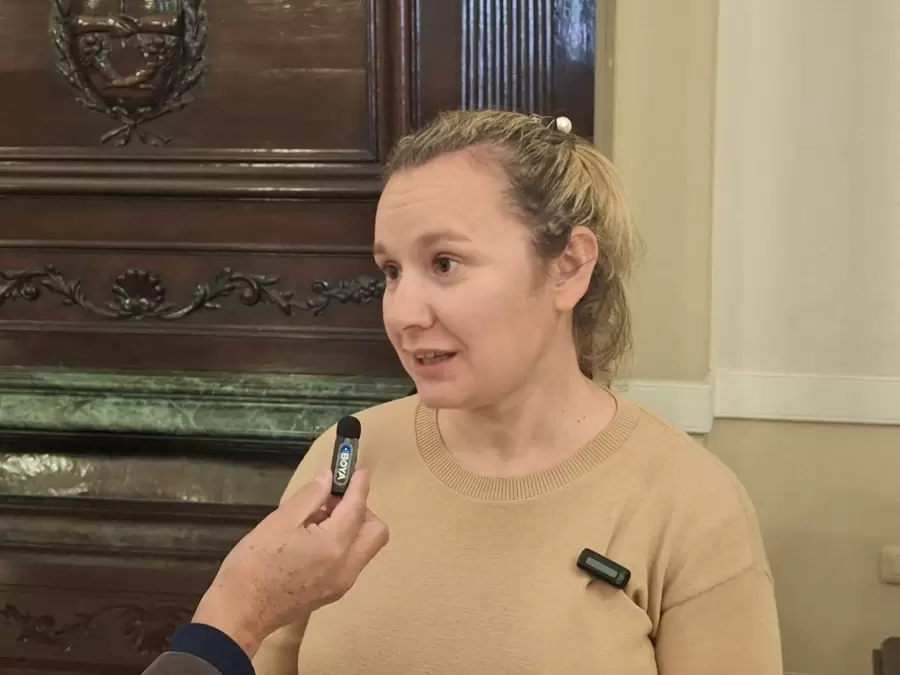 "Buscamos un sistema que le permita a la mamá tener la identidad de ese bebé que no pudo nacer con vida" (S. M. Haczuk)