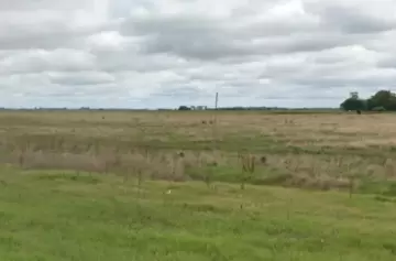 Misterio sobre un cuerpo encontrado en un baldío a metros de una autopista