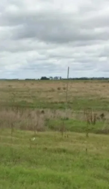El descampado donde fue hallado el cadáver. (Foto: gentileza Crónica)