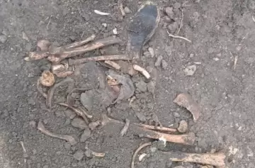 El homicidio en la casa contigua a la que habitó Cerati suma otro detalle escabroso