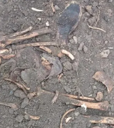 Los restos de Diego Fernández Díaz fueron encontrados en una casa contigua a la que habitó Gustavo Cerati. (Foto: web)