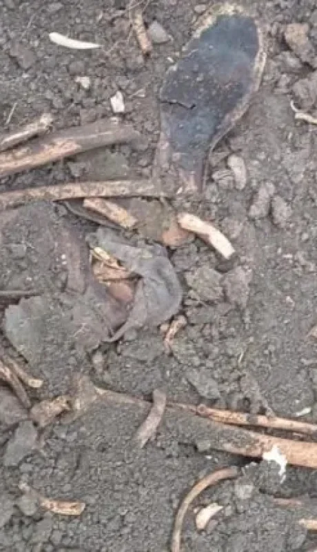 Los restos de Diego Fernández Díaz fueron encontrados en una casa contigua a la que habitó Gustavo Cerati. (Foto: web)