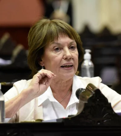 Diputada nacional por Entre Ríos, Blanca Osuna (Unión por la Patria). (Foto: archivo web)