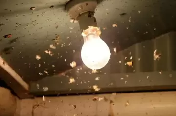 Como evitar que aparezcan arañas en las luces y los plafones: 10 consejos