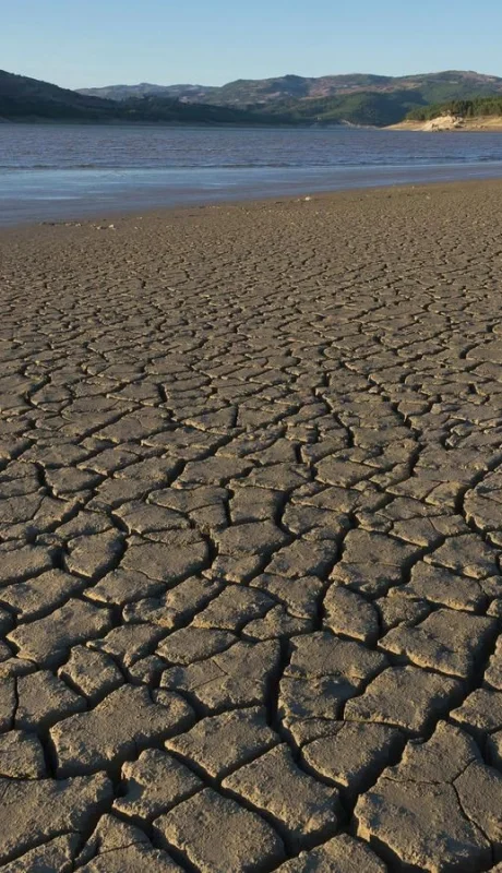 El planeta ya perdió 31 años de agua potable, alertó la argentina Celeste Saulo