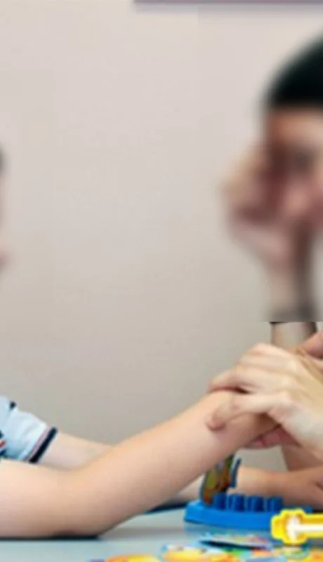 Maestra integradora/ Fuente: Web