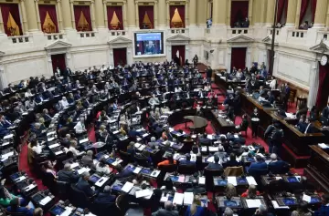 Elecciones 2025: cómo se renuevan las bancas en diputados y senadores provincia por provincia