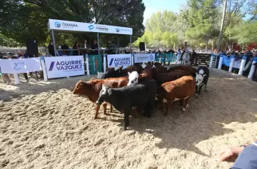 Proponen respaldo crediticio para el desarrollo ganadero en el Sur de Mendoza