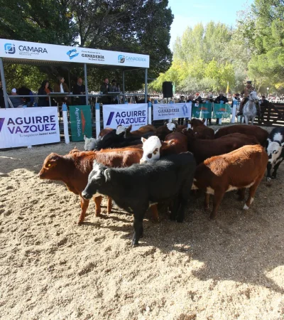 Plantelingresando a la Fiesta de la Ganadería./