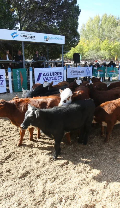 Plantelingresando a la Fiesta de la Ganadería./