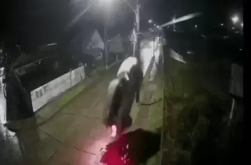 Impactante accidente: un auto voló por el aire y el conductor escapó ileso