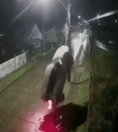 Auto volador en Chile.