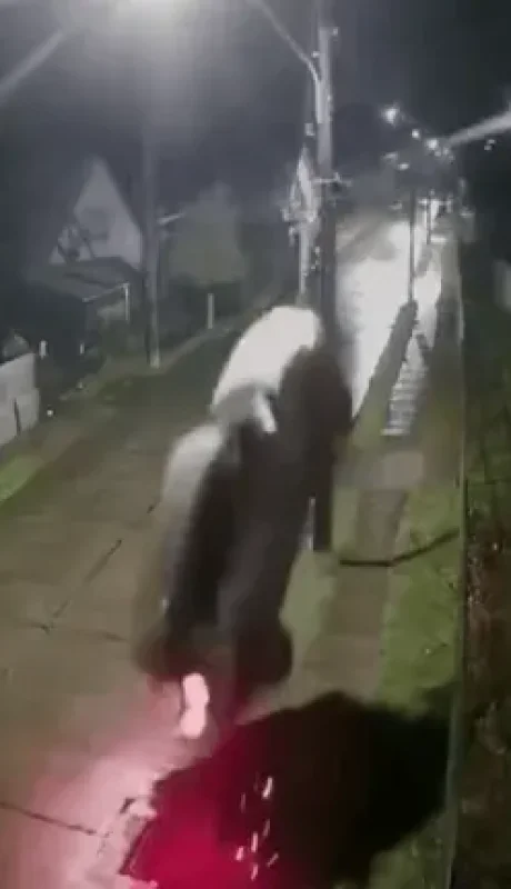 Auto volador en Chile.